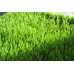 Aizonia Turf
