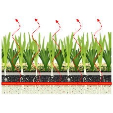 Hybrid Turf